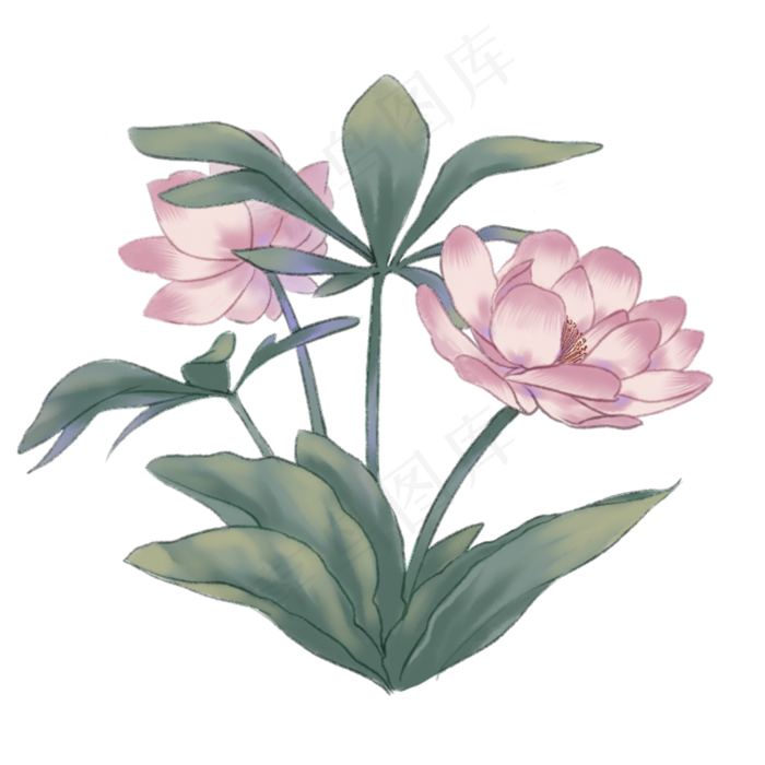中国古风手绘花卉荷花(2000X2000(DPI:300))psd模版下载