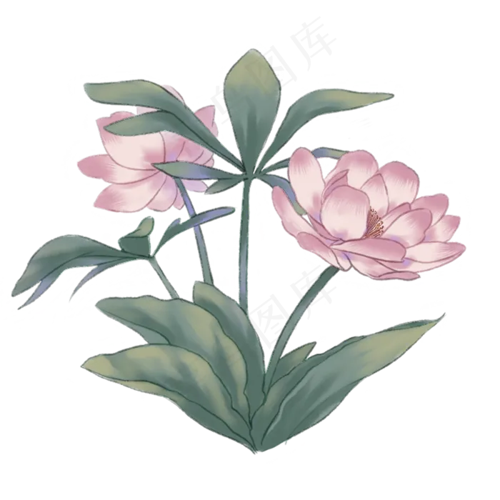 中国古风手绘花卉荷花(2000X2000(DPI:300))psd模版下载