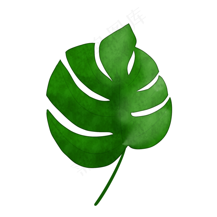 热带植物芭蕉叶免抠插图(2000X2000(DPI:300))psd模版下载