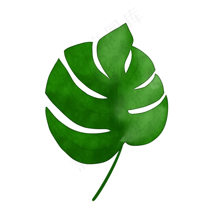 热带植物芭蕉叶免抠插图(2000X2000(DPI:300))psd模版下载