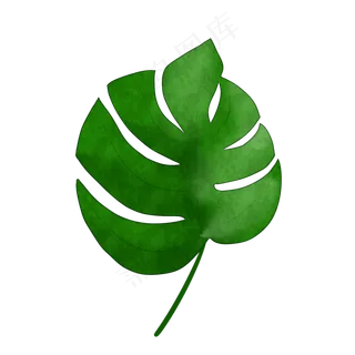 热带植物芭蕉叶免抠插图