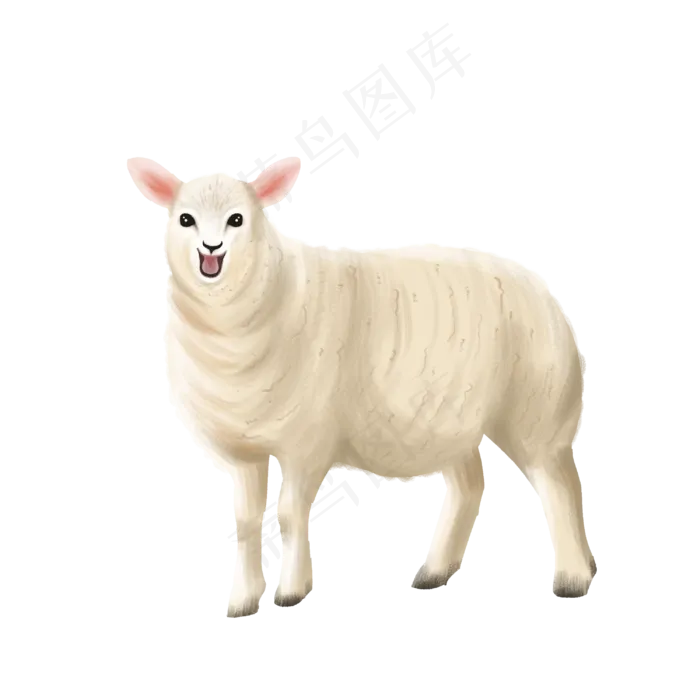 可爱动物澳大利亚绵羊,免抠元素(3000*3000px 300 dpi )psd模版下载