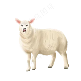 可爱动物澳大利亚绵羊,免抠元素