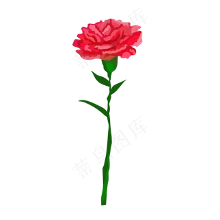 一朵手绘母亲节康乃馨免抠素材