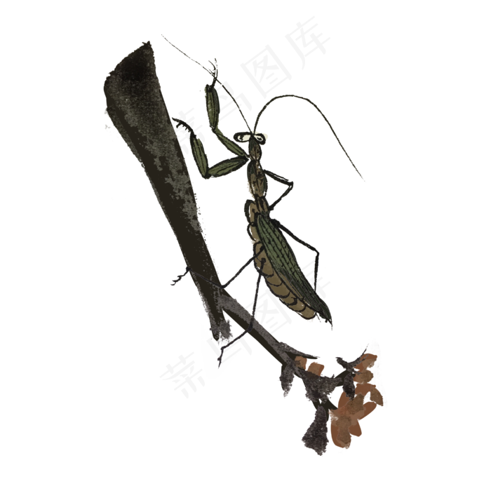 中国风水墨手绘螳螂插画,免抠元素