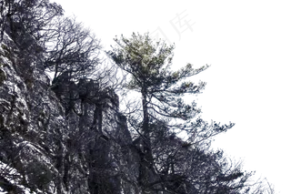 陡峭险峻植被茂盛的山峰