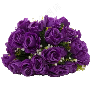 紫色玫瑰