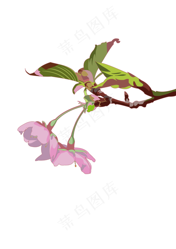 春分樱花免扣元素,免抠元素