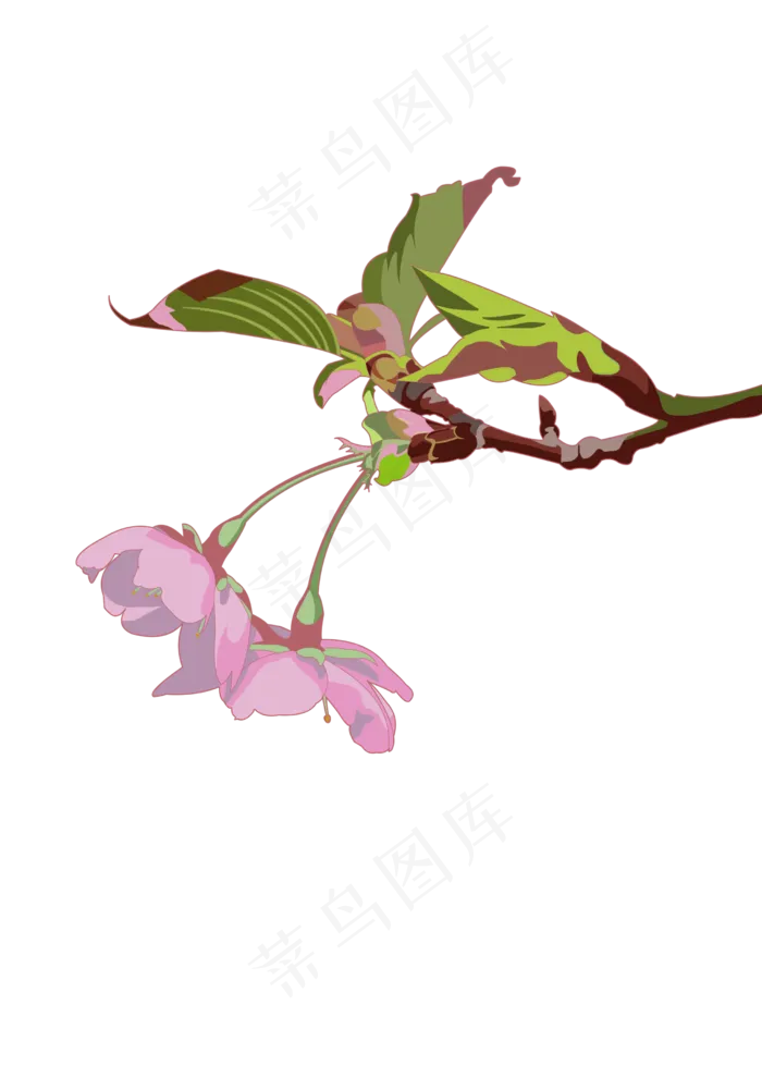 春分樱花免扣元素,免抠元素