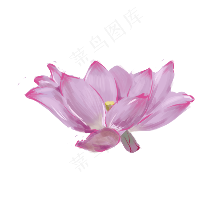 粉色荷花装饰(2000X2000(DPI:300))psd模版下载