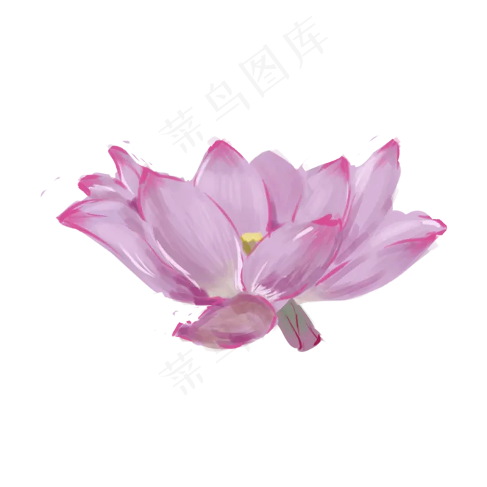 粉色荷花装饰(2000X2000(DPI:300))psd模版下载