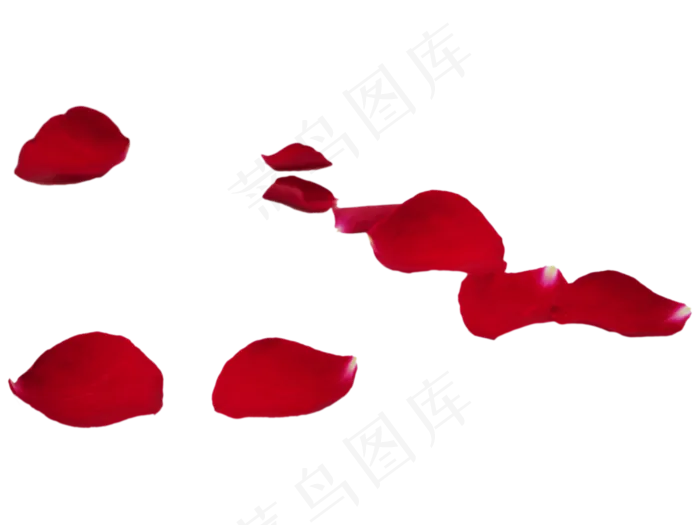 玫瑰花瓣(2000X2000(DPI:300))psd模版下载