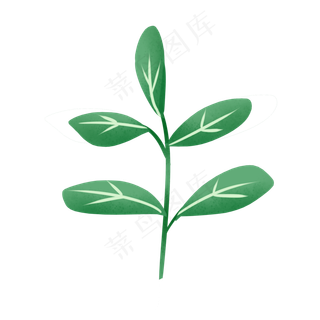 椭圆叶子可爱清新