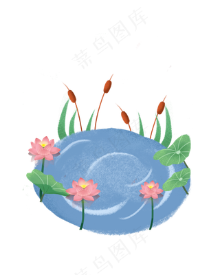 夏季池塘荷花素材