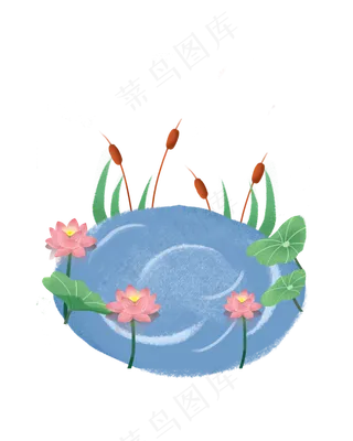夏季池塘荷花素材