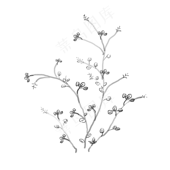 紫薇花图片(2000*2000px 72 dpi )