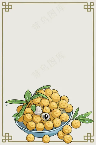 简约水果美味桂圆