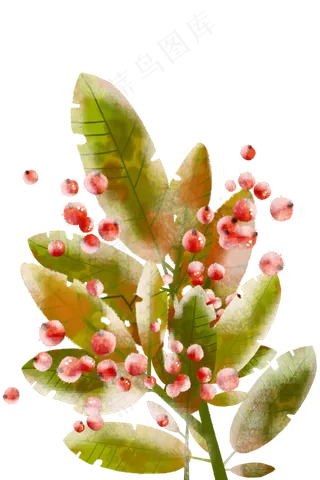 结霜的果实绿叶