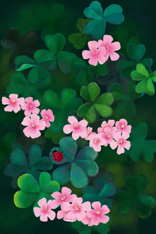 唯美春天惊蛰酢浆草