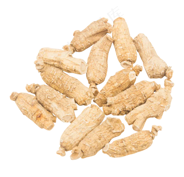 褐色中药三七,免抠元素(3543X3400)