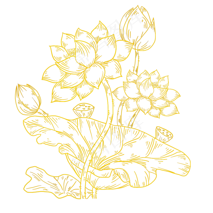金粉烫金荷花线条免抠(2000X2000(DPI:300))psd模版下载