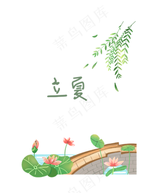 立夏拱桥荷花莲花PNG植物夏日