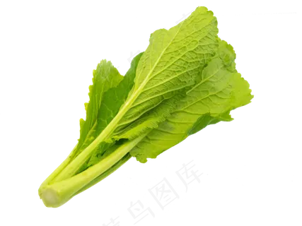 小白菜油菜,免抠元素
