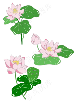 可商用清新可爱简约植物荷花套图