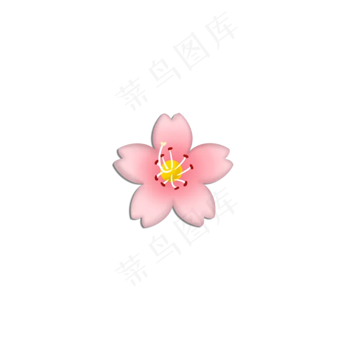 粉红色樱花的表情