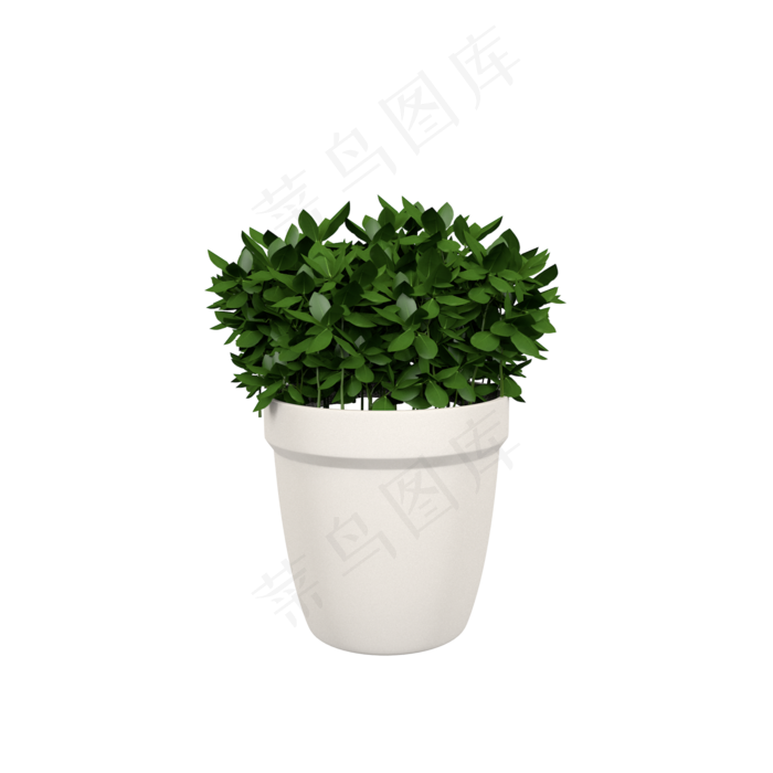 立体绿色植物盆栽C4D插图(2000X2000(DPI:300))psd模版下载