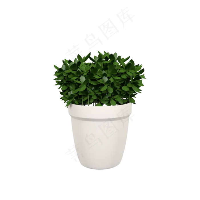 立体绿色植物盆栽C4D插图(2000X2000(DPI:300))psd模版下载