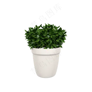 立体绿色植物盆栽C4D插图