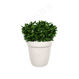 立体绿色植物盆栽C4D插图 立体绿色植物盆栽C4D插图