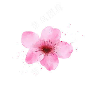 一朵粉红色的桃花