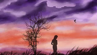 唯美星空下的飞鸟和人