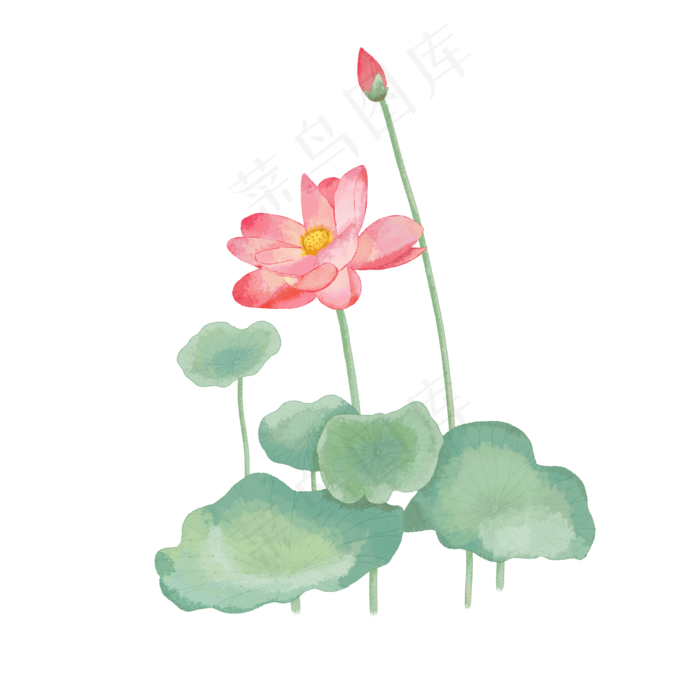水彩夏季荷花(2000X2000(DPI:300))psd模版下载