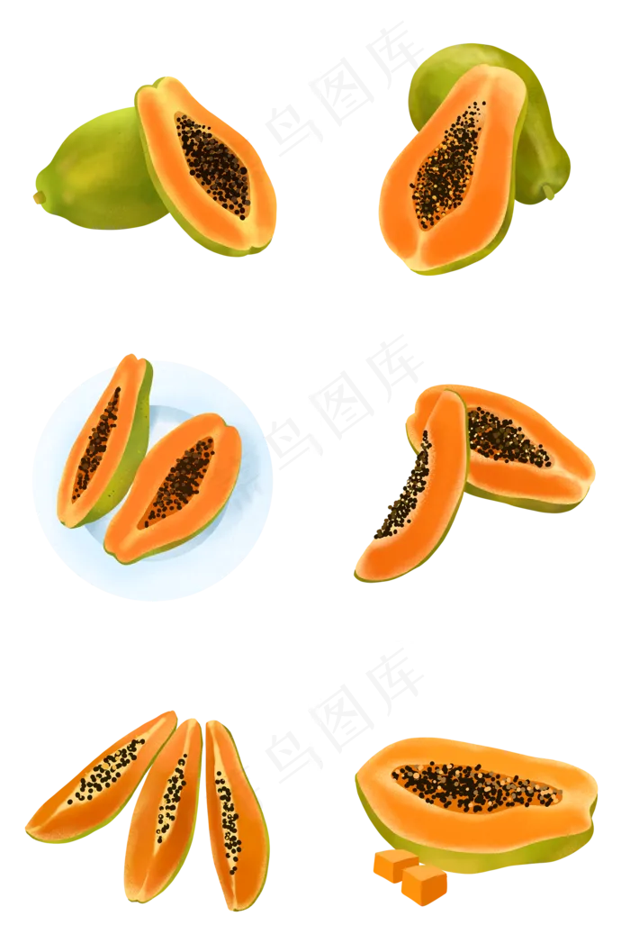 写实手绘木瓜组图PNG免抠素材(1125X2436(DPI:72))psd模版下载