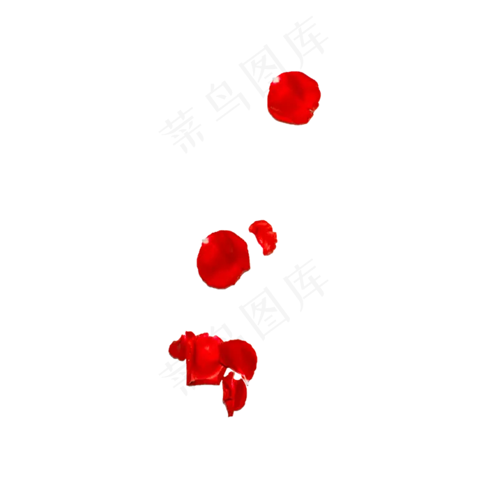 玫瑰花瓣实拍（png免抠）(2000X2000(DPI:72))psd模版下载