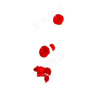 玫瑰花瓣实拍（png免抠）