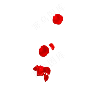 玫瑰花瓣实拍（png免抠）