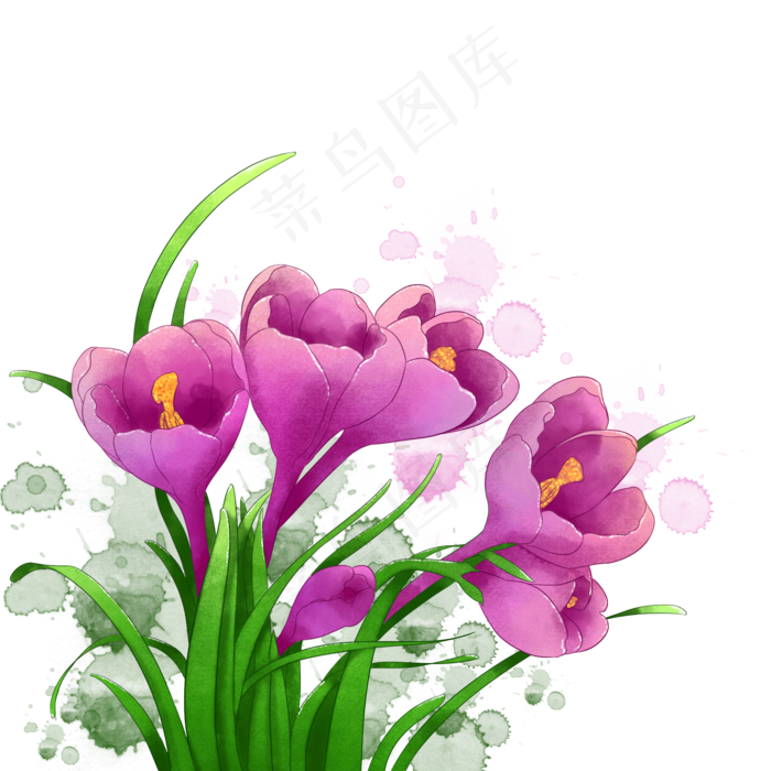 水彩紫色花朵花卉