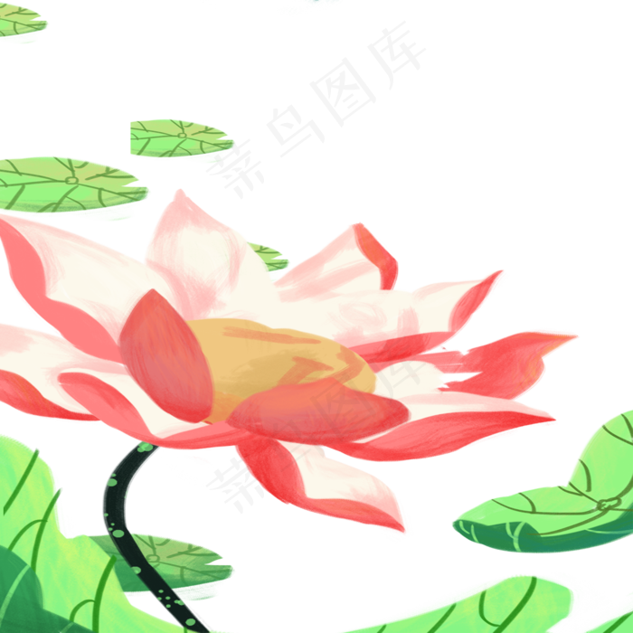 荷叶荷花(2000X2000(DPI:300))psd模版下载