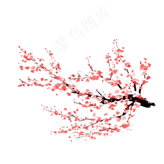 中国风手绘梅花花枝
