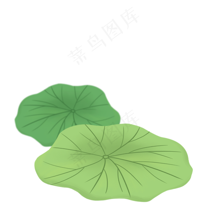 绿色的荷叶免抠图