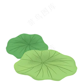 绿色的荷叶免抠图 绿色的荷叶免抠图