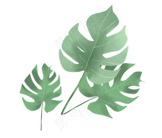 水彩叶子