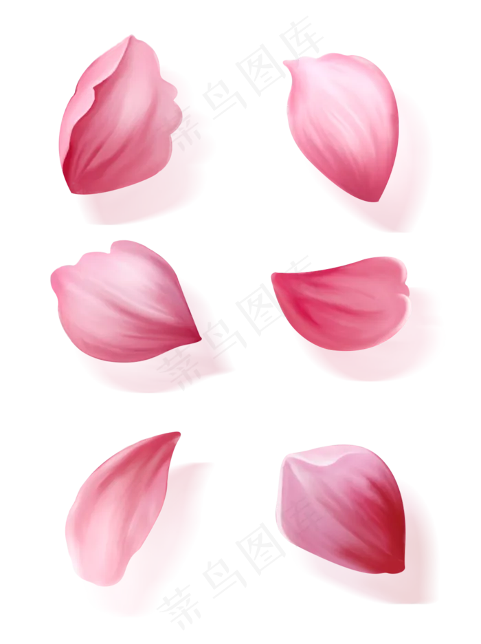 手绘花花瓣元素套图(1024X1369(DPI:150))psd模版下载