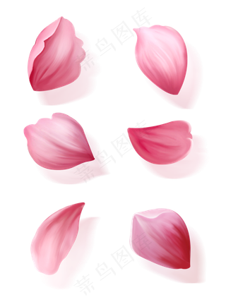 手绘花花瓣元素套图