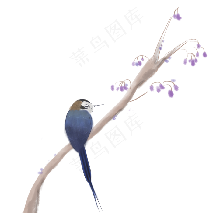 中国风蓝紫色工笔装饰花鸟,免抠元素