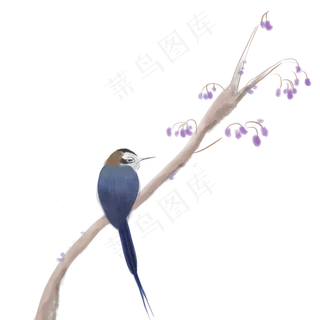 中国风蓝紫色工笔装饰花鸟,免抠元素
